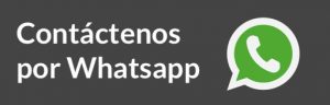 Whatsapp - Pasillo Digital +56995505509 - Posicionamiento Web con SEO, AMP y URL Ampliada